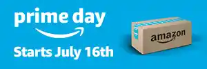 Evolution-of-Amazon-Prime:-Digitally-Advertising-an-Online-Shopping-Holiday-image-5