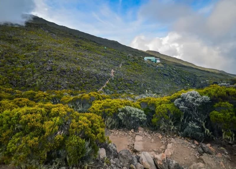 Faire la Randonnée du Piton des Neiges Ascension du Volcan Jumbo