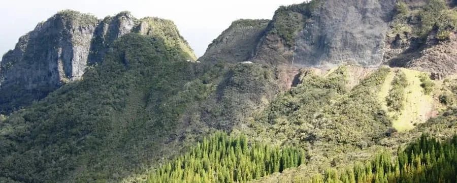 randonnee-col-des-boeufs-reunion