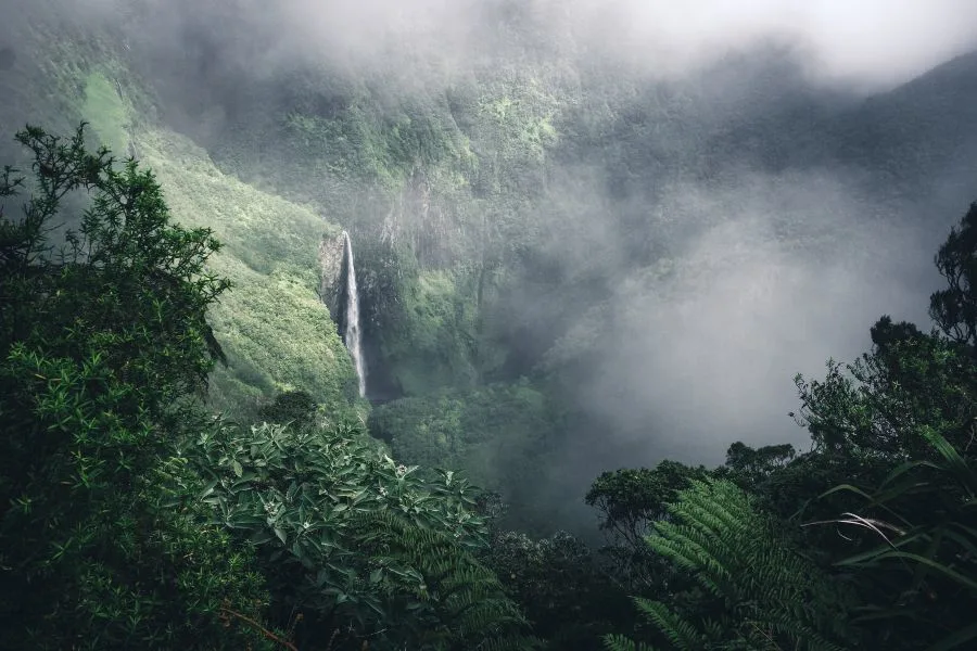 top-randonnees-martinique-trou-fer