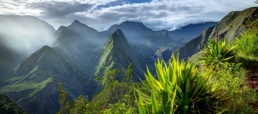 voyage cirque 2 semaines a la reunion