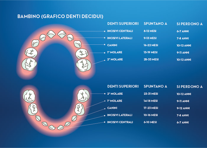 Guida Completa ai Denti da Latte