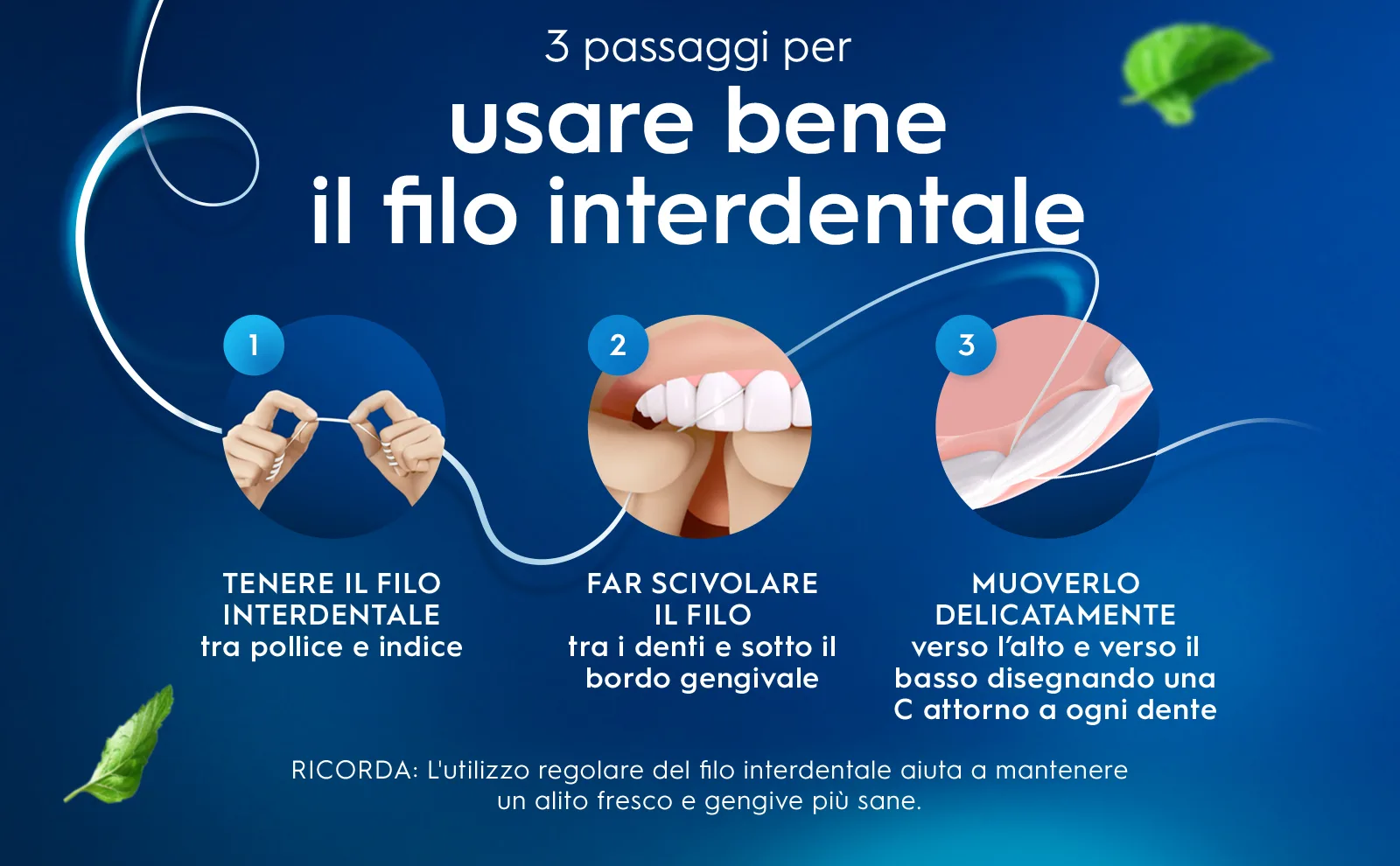 Fibra del filo interdentale sullo sfondo e 3 passaggi per usarlo bene con 3 icone. 