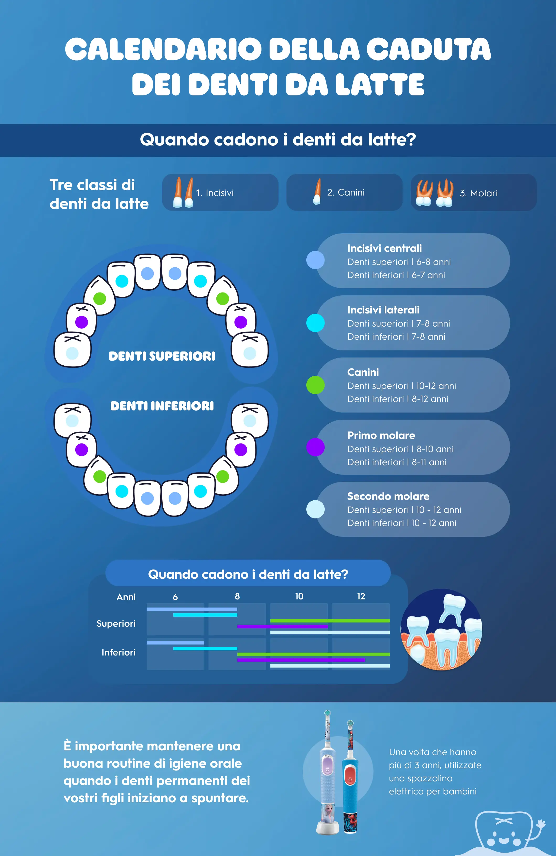 Tabella di caduta dei denti decidui 