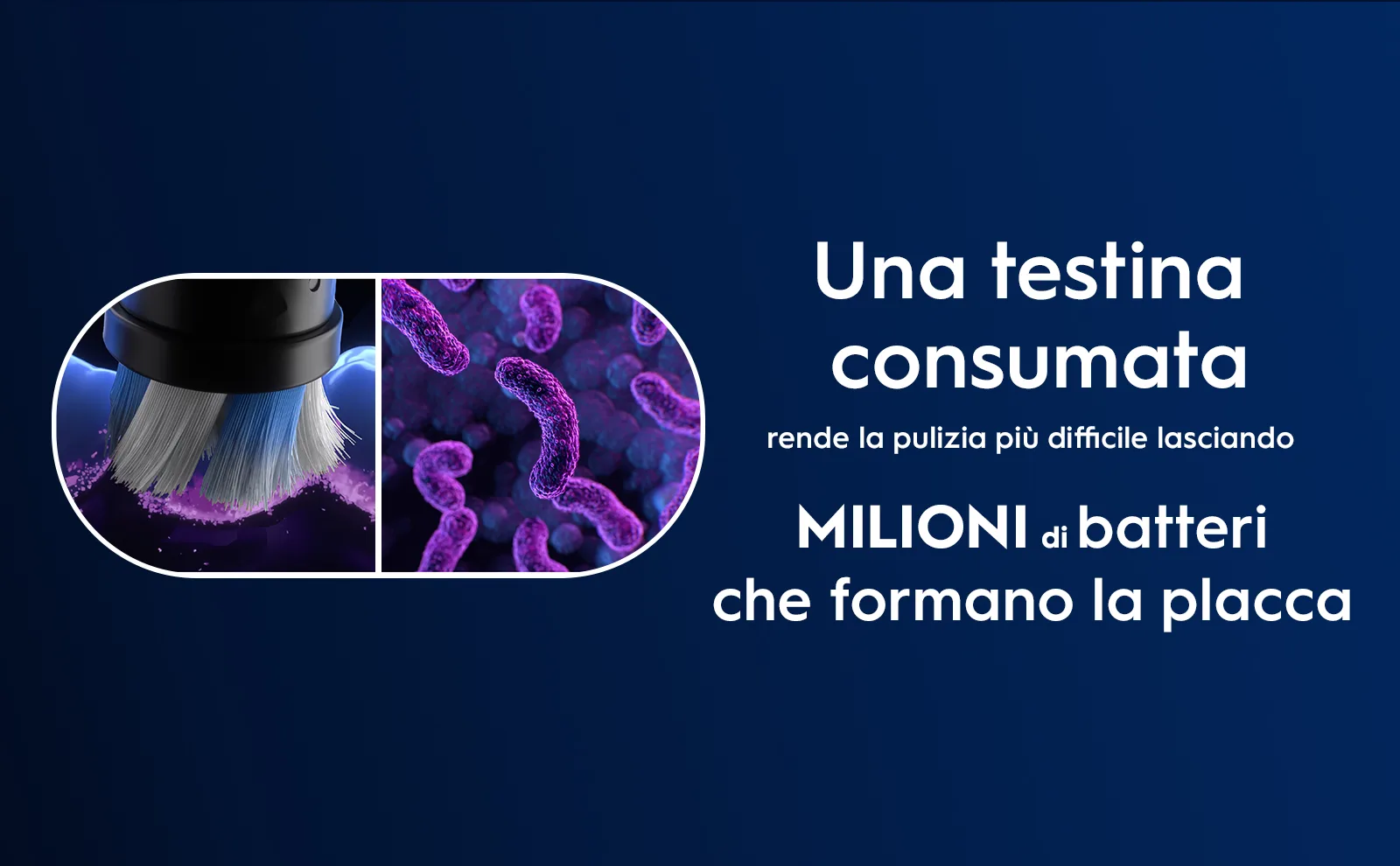 Primo piano di batteri sulla testina consumata, che rende più difficile la pulizia. 