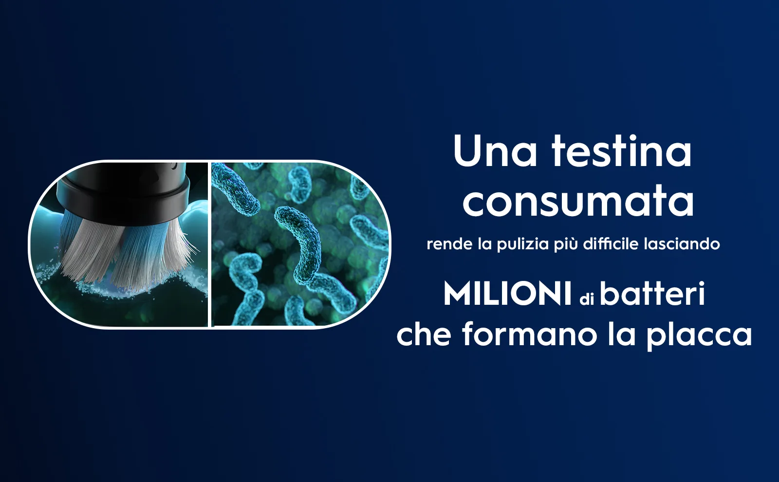 Primo piano di batteri sulla testina consumata, che rende più difficile la pulizia.