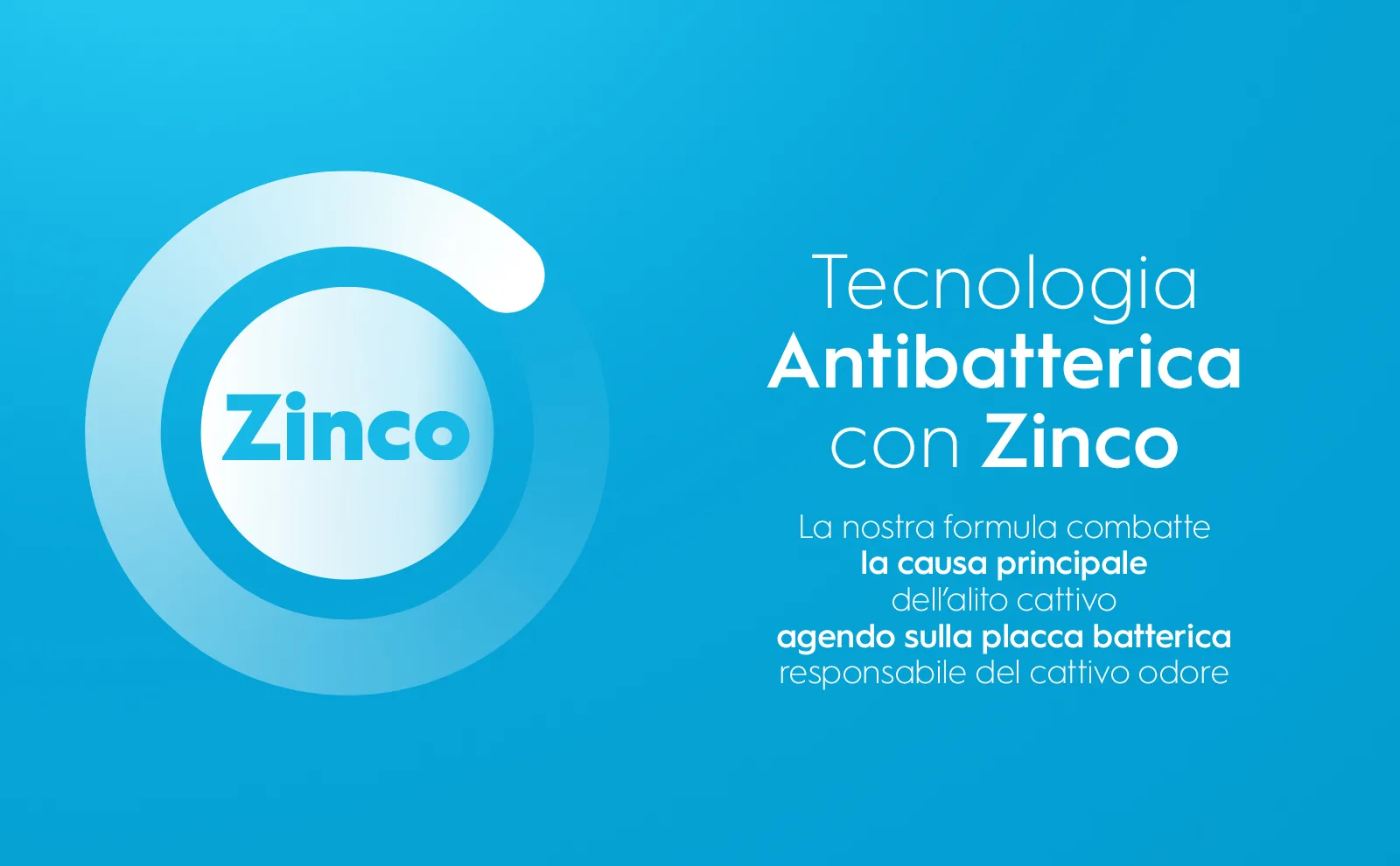 Una molecola di zinco 
