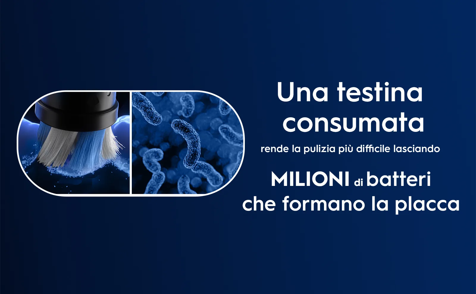 Primo piano di batteri sulla testina consumata, che rende più difficile la pulizia. 