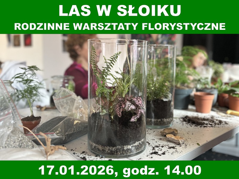 Grafika do karty: Las w Słoiku