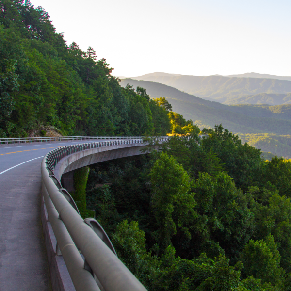 Scenic Drive