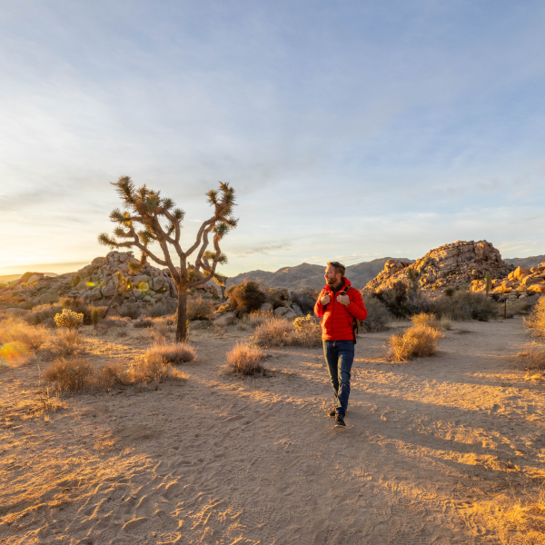 Desert Hiking