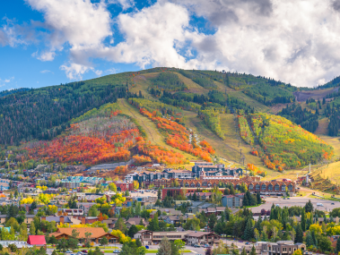 Leaf Peeping