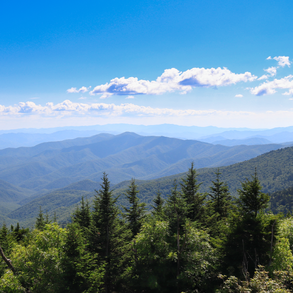 Great Smoky Mountains