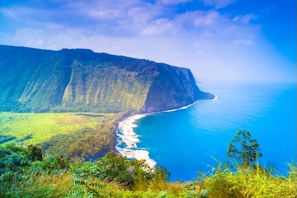 Dramatic vista featuring the ocean, waves, steep cliffs, trees and greenery.