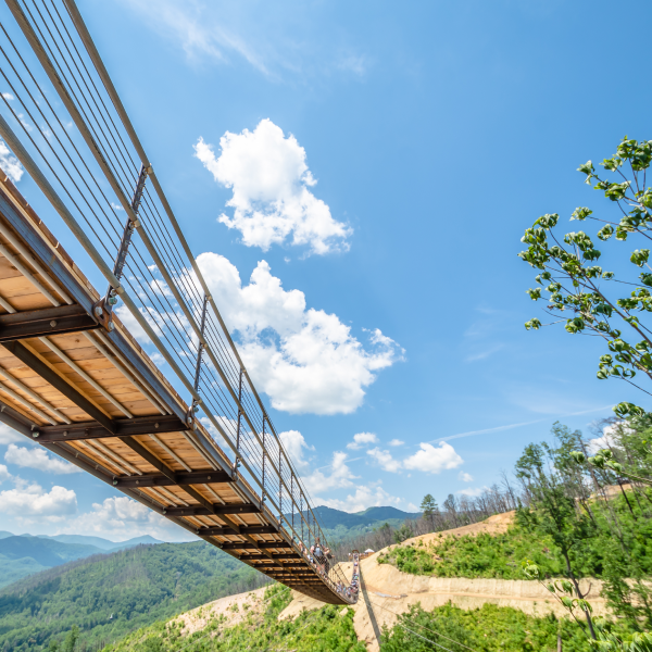 Gatlinburg SkyBridge