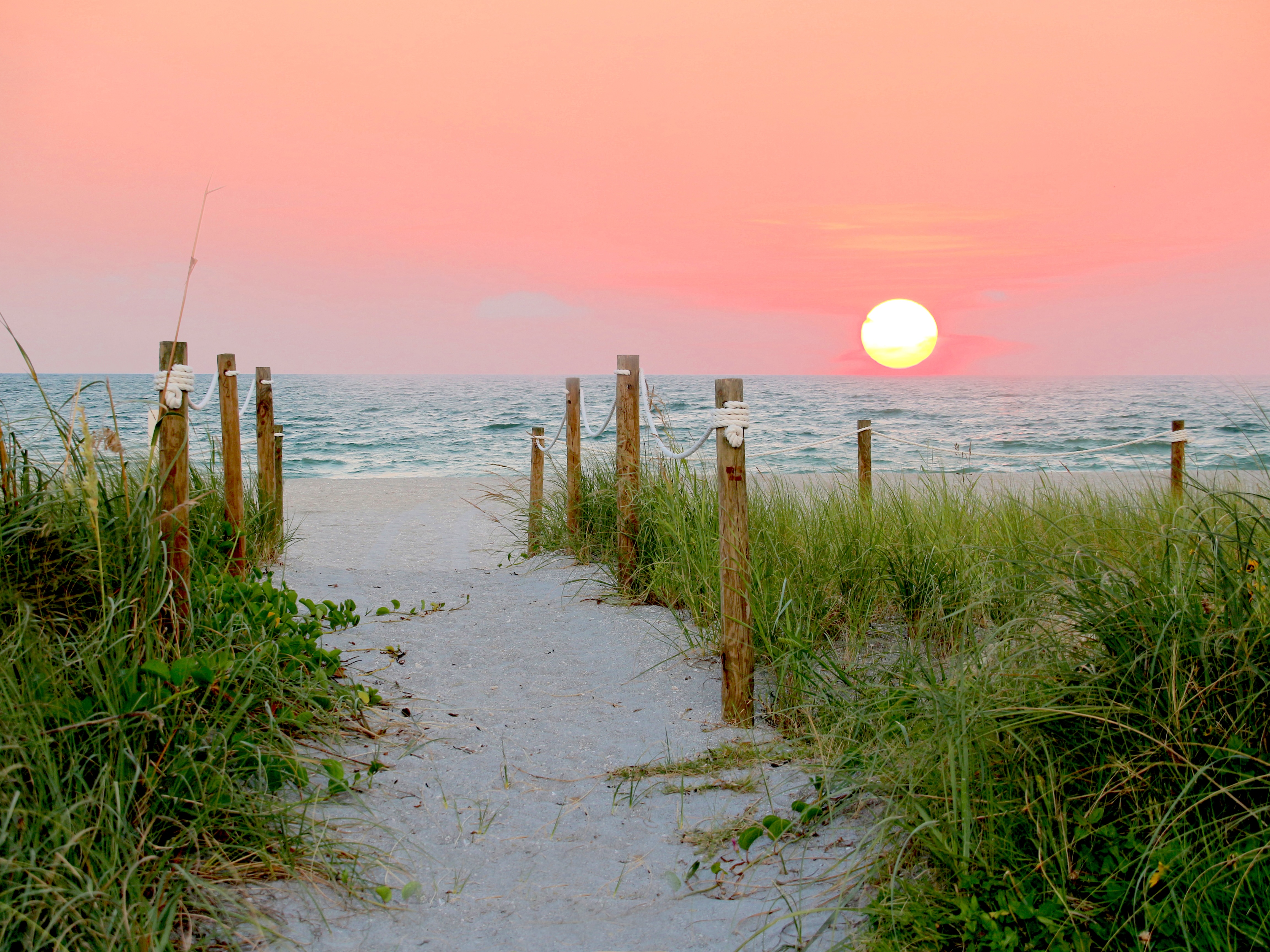 Captiva beach scene with sand and greenery in the foreground along with the ocean and setting sun in the background