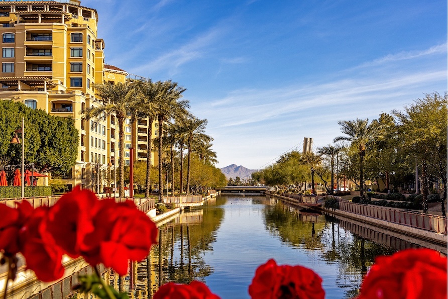 Picture of a Scottsdale waterway with building on one side, palm trees on another, mountains in the background and red flowers in the foreground.