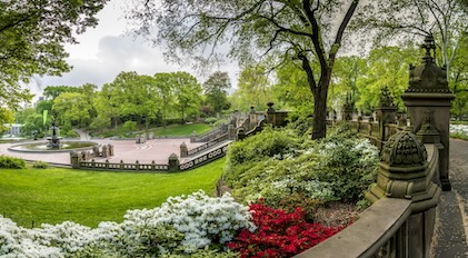 Lovely, lush park in New York with steps, a path and a fountain in the foreground
