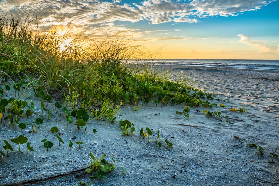 Beach scene at dawn with waves lapping the shore and a pink and blue sky above, at Myrtle Beach, South Carolina.