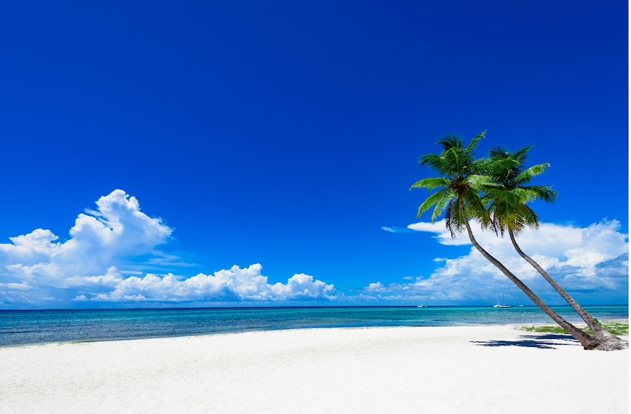 White sand beach, blue ocean waters and two palm trees in sand with  vibrant sunny skies and white clouds overhead.