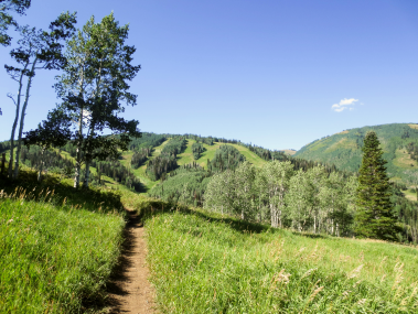 Nature Hike