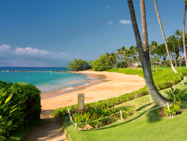 Beachfront Parks