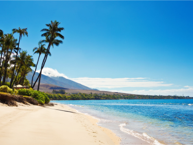 White Sand Beaches