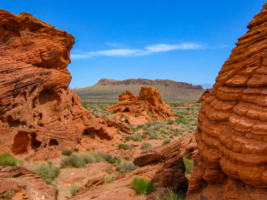 Red Rock Canyon 