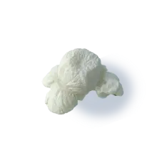 popcorn spreaded