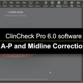 video image