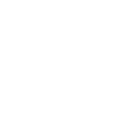 image-100-percent