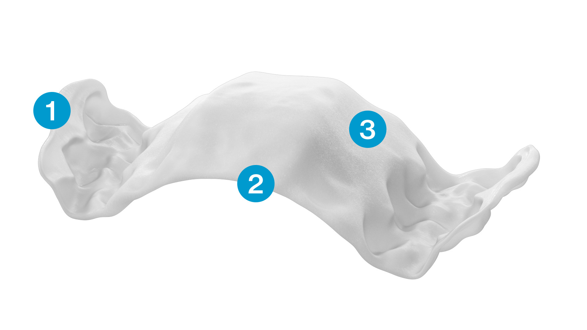 Align Palette Expander Size