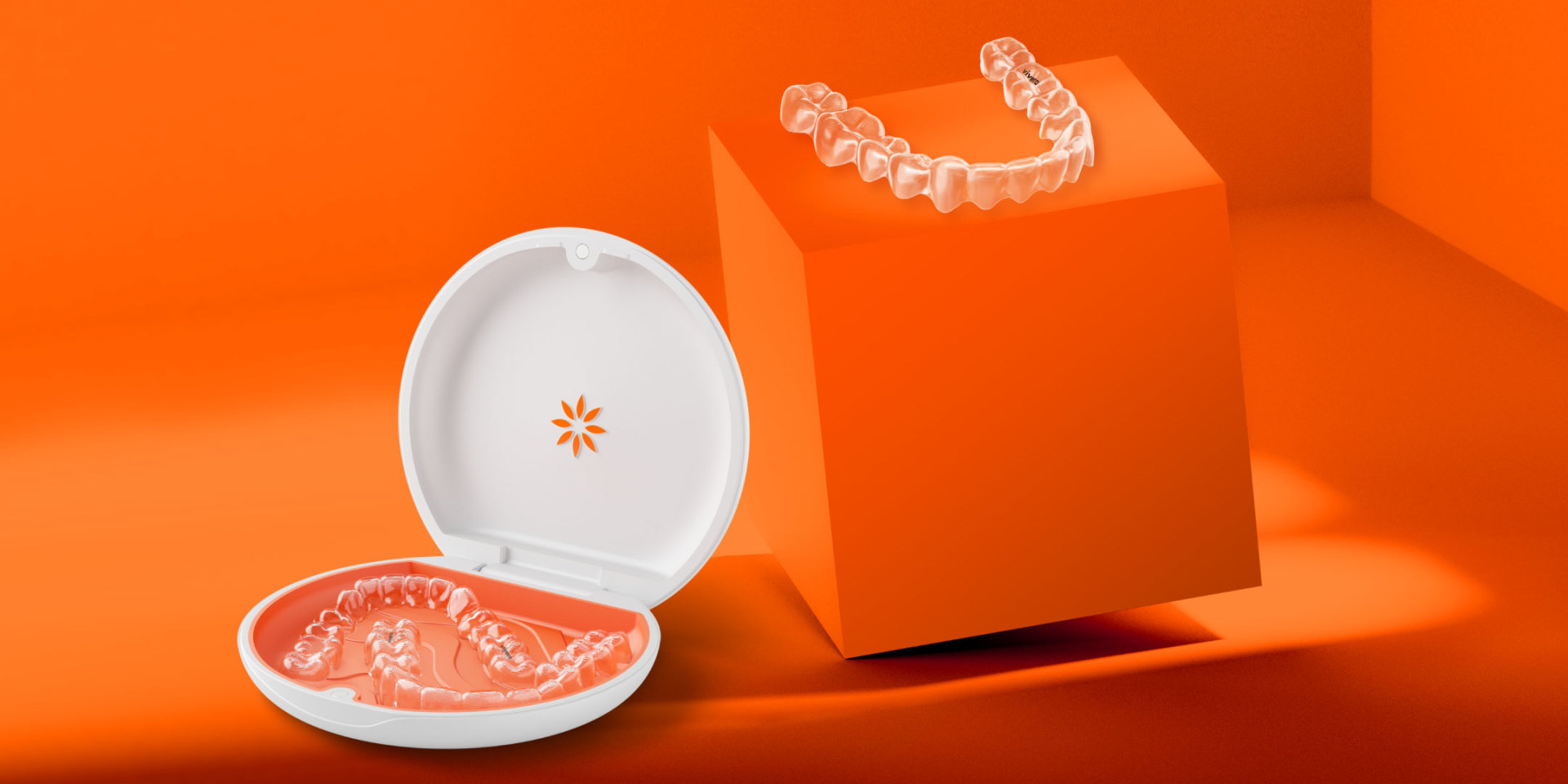 Vivera Retainers in an open case