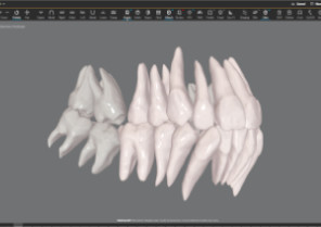 Roots view on CBCT integration