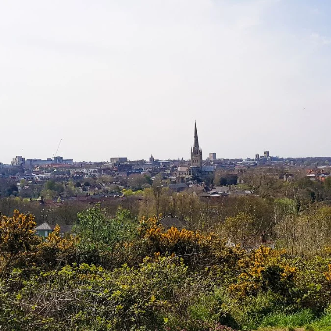 Find an Invisalign Doctor in Norwich