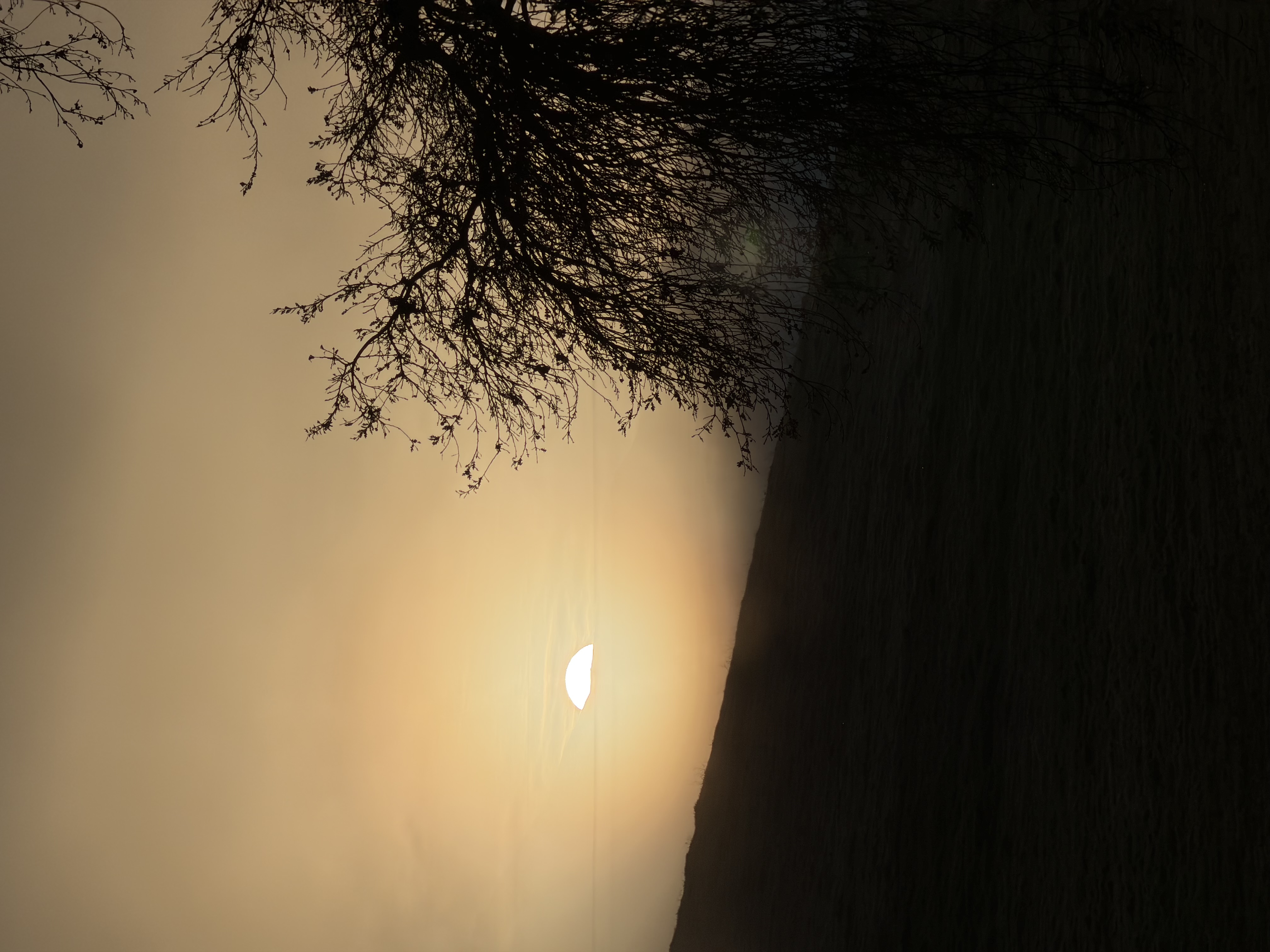 Foggy sunrise breaking over a hillside at Mount Diablo in the San Francisco Bay Area