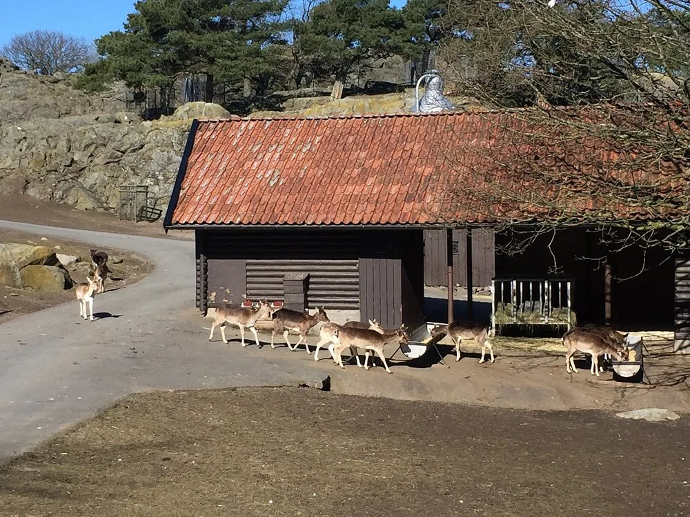 Slottsskogens djurpark och Barnens zoo