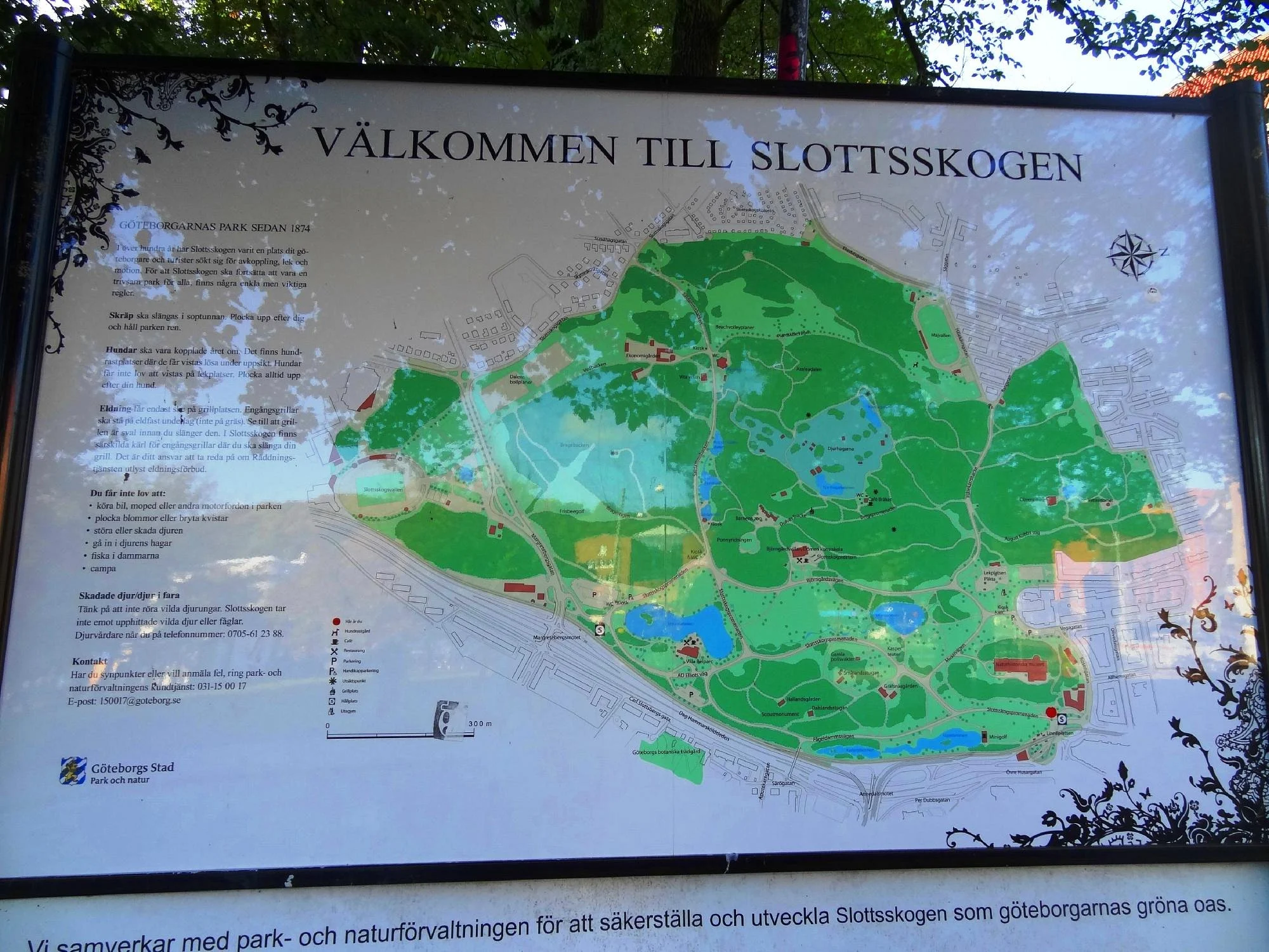 Slottsskogen
