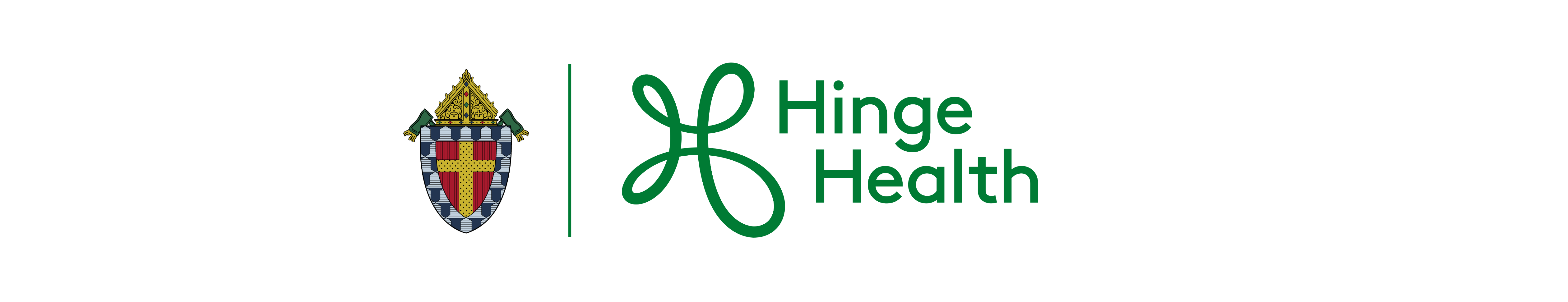 Roman Catholic Diocese of Lafayette | HingeHealth