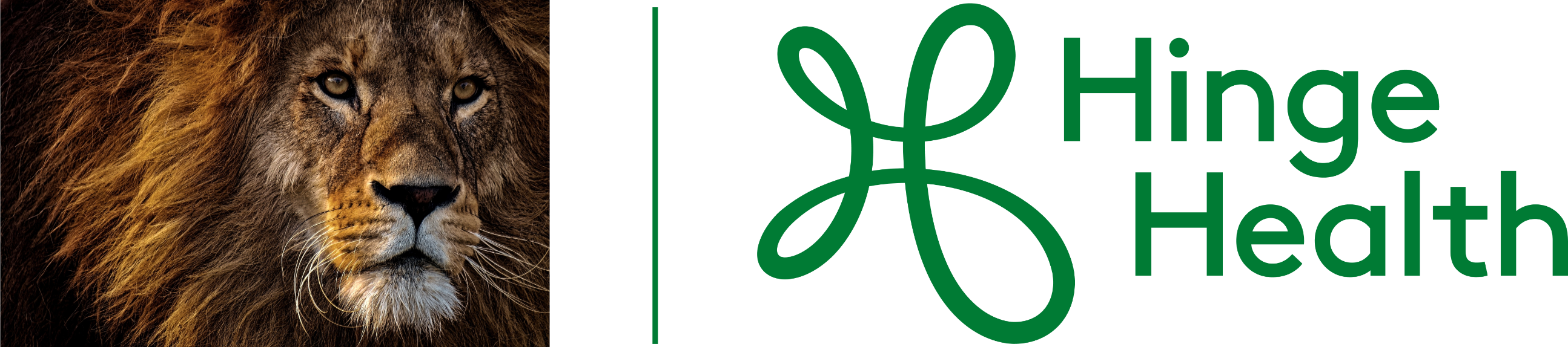 Publicis Groupe | HingeHealth
