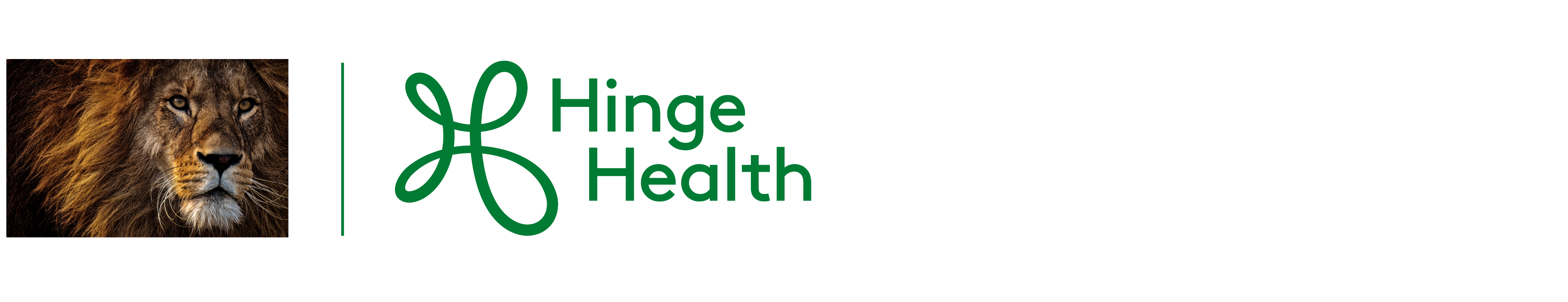 Publicis Groupe | HingeHealth