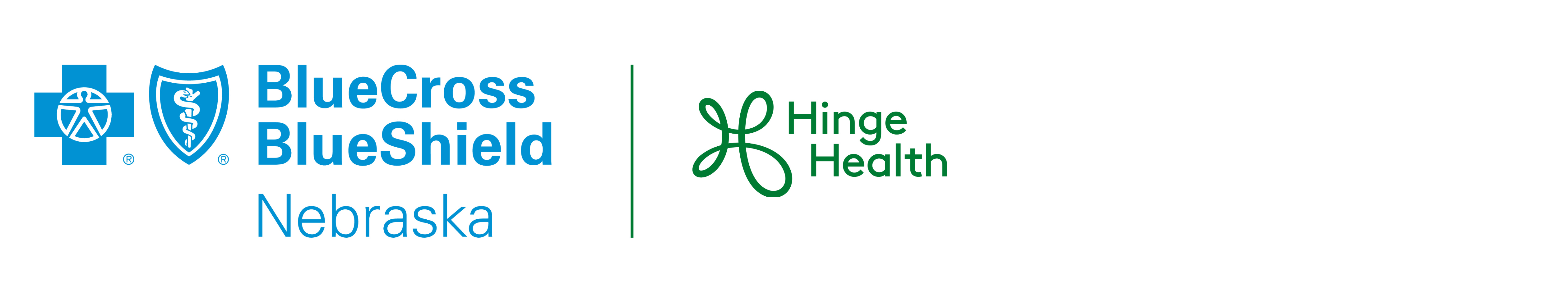 Blue Cross and Blue Shield of Nebraska - Fully Insured | HingeHealth