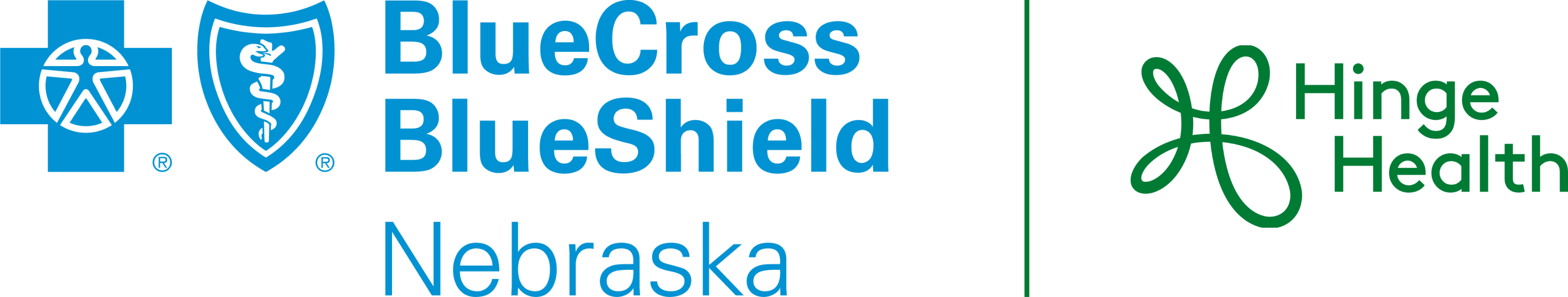 Blue Cross and Blue Shield of Nebraska - Fully Insured | HingeHealth