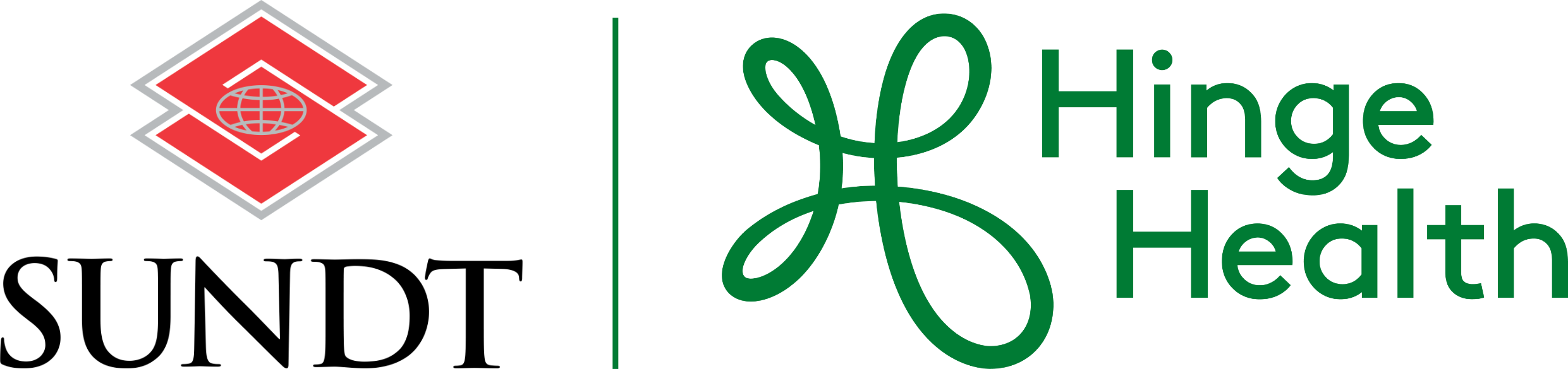 Sundt Companies | HingeHealth