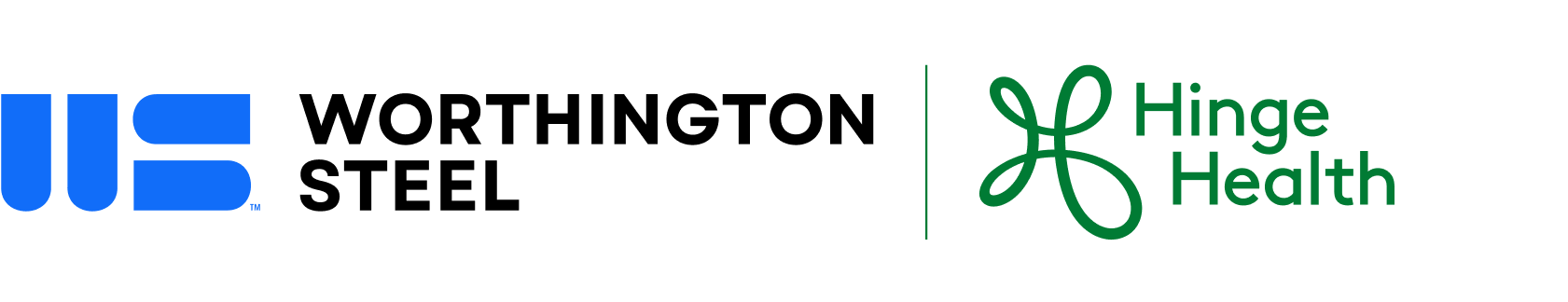 Worthington Steel | HingeHealth