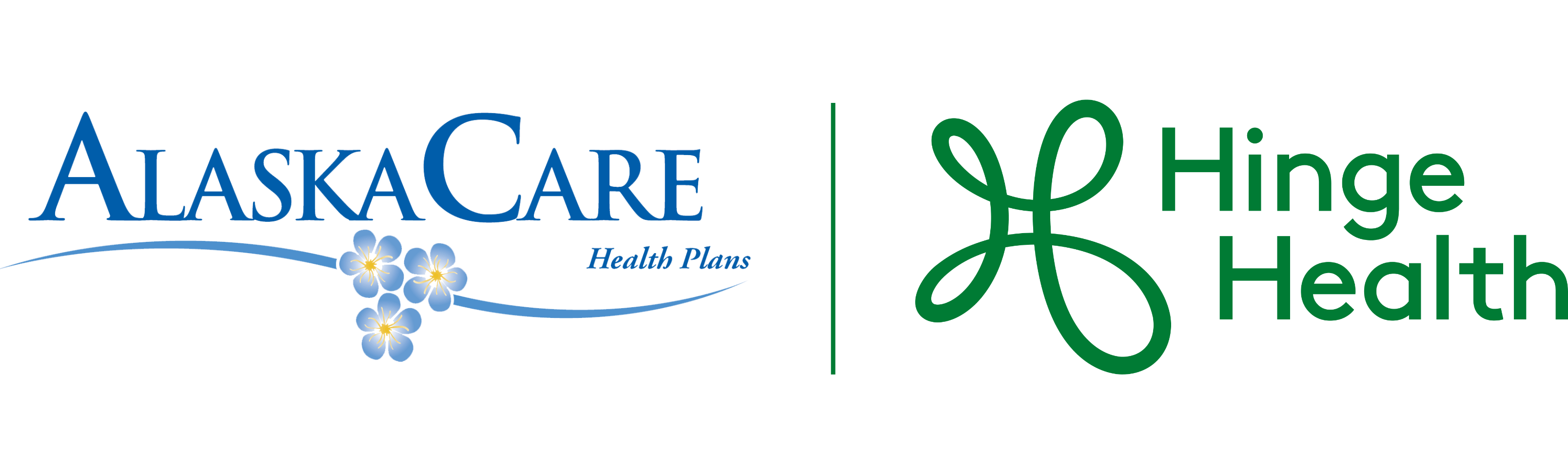 AlaskaCare | HingeHealth