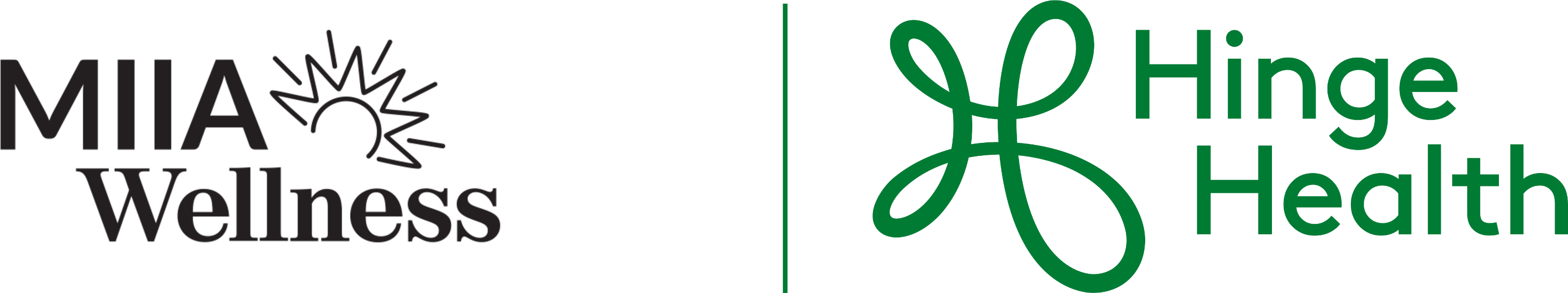 Massachusetts Interlocal Insurance Association | HingeHealth