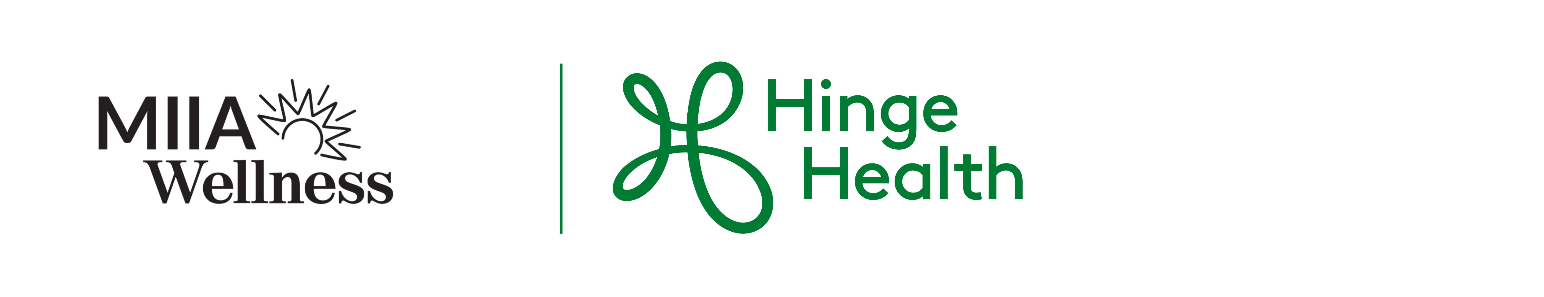 Massachusetts Interlocal Insurance Association | HingeHealth