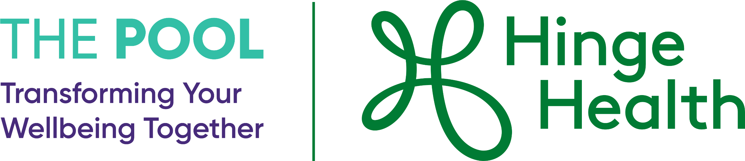 Western Michigan Health Insurance Pool | HingeHealth