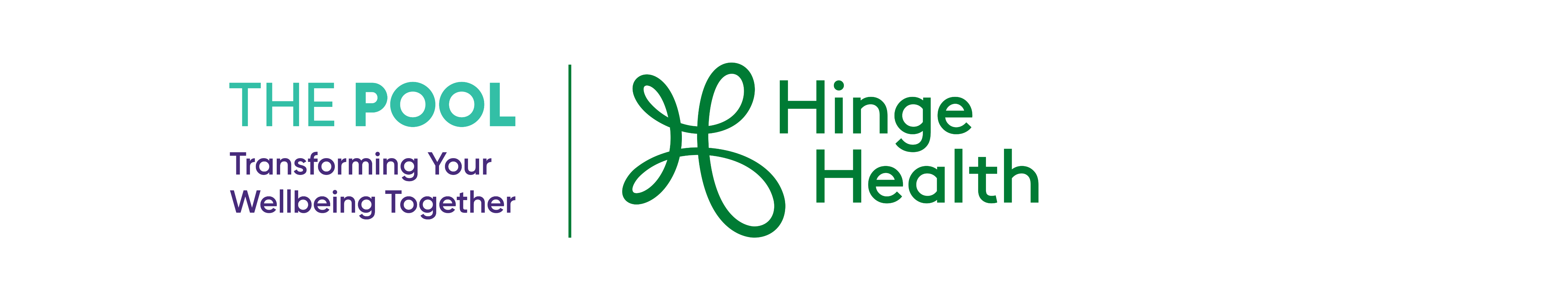 Western Michigan Health Insurance Pool | HingeHealth